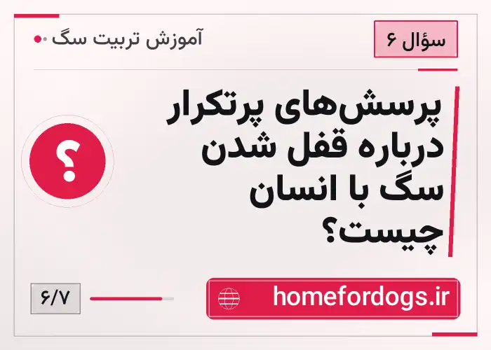 پرسش‌های پرتکرار درباره قفل شدن سگ با انسان چیست؟