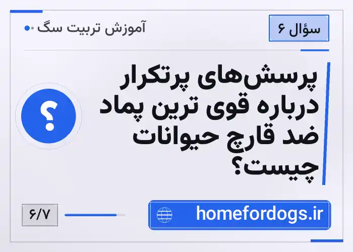 پرسش‌های پرتکرار درباره قوی ترین پماد ضد قارچ حیوانات چیست؟