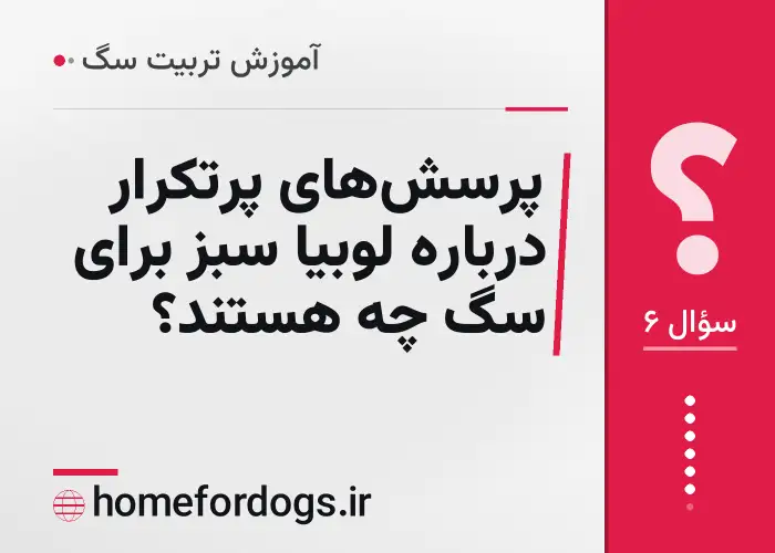 پرسش‌های پرتکرار درباره لوبیا سبز برای سگ چه هستند؟
