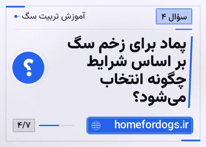 پماد برای زخم سگ بر اساس شرایط چگونه انتخاب می‌شود؟