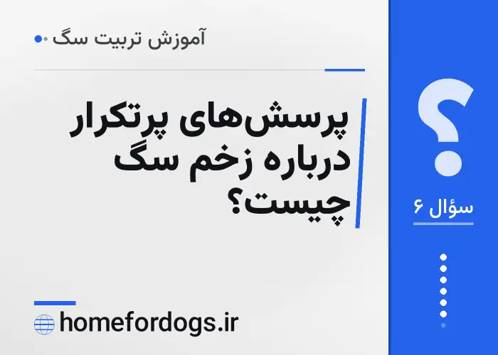 پرسش‌های پرتکرار درباره زخم سگ چیست؟