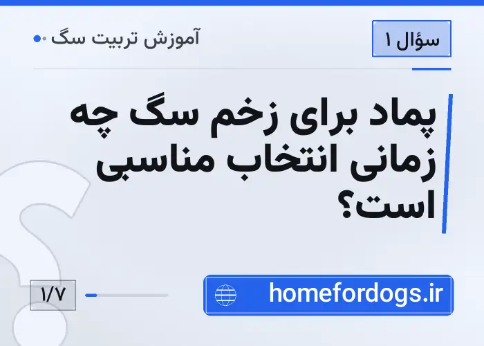 پماد برای زخم سگ چه زمانی انتخاب مناسبی است؟
