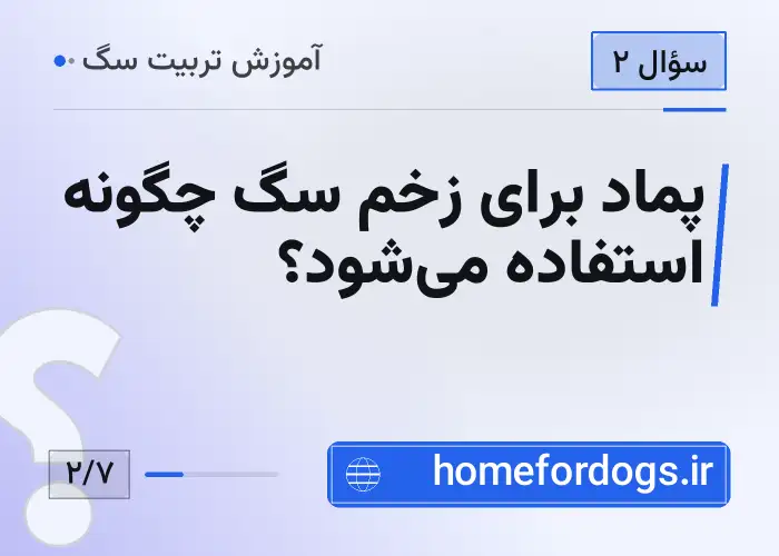 پماد برای زخم سگ چگونه استفاده می‌شود؟
