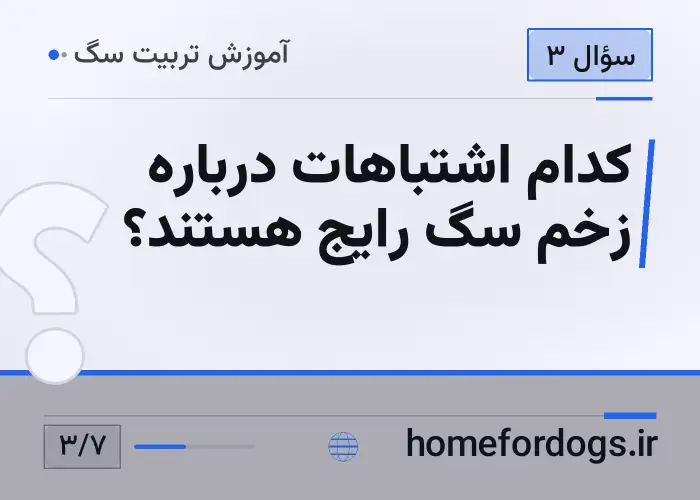 کدام اشتباهات درباره زخم سگ رایج هستند؟
