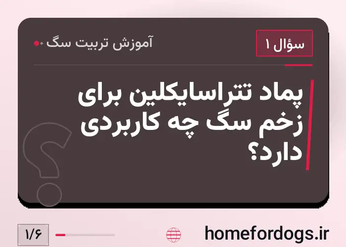 پماد تتراسایکلین برای زخم سگ چه کاربردی دارد؟