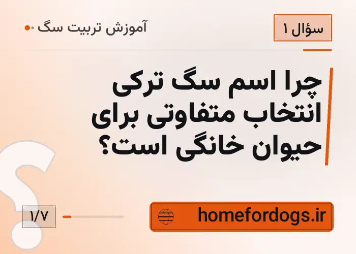 چرا اسم سگ ترکی انتخاب متفاوتی برای حیوان خانگی است؟