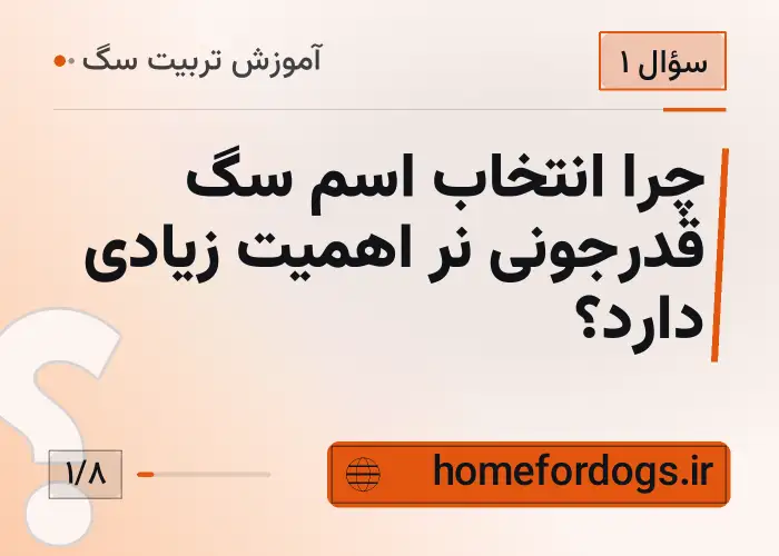 چرا انتخاب اسم سگ قدرجونی نر اهمیت زیادی دارد؟