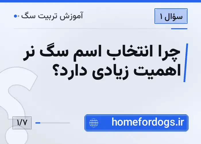 چرا انتخاب اسم سگ نر اهمیت زیادی دارد؟