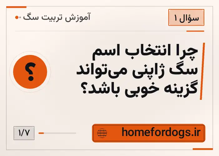 چرا انتخاب اسم سگ ژاپنی می‌تواند گزینه خوبی باشد؟