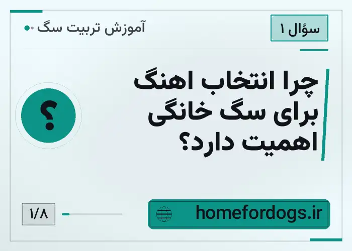 چرا انتخاب اهنگ برای سگ خانگی اهمیت دارد؟