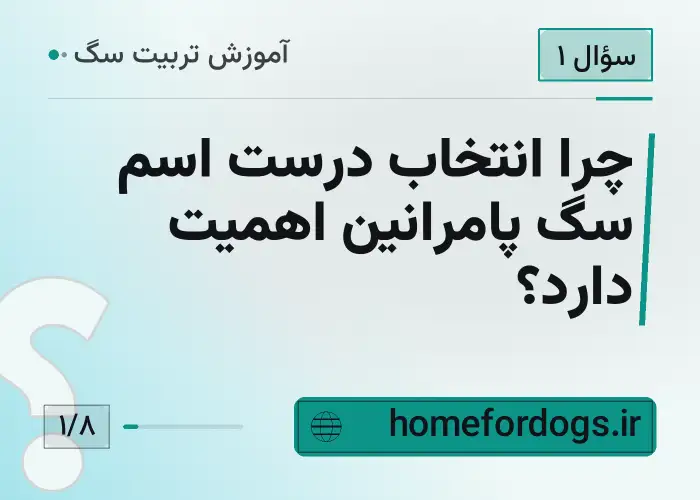 چرا انتخاب درست اسم سگ پامرانین اهمیت دارد؟