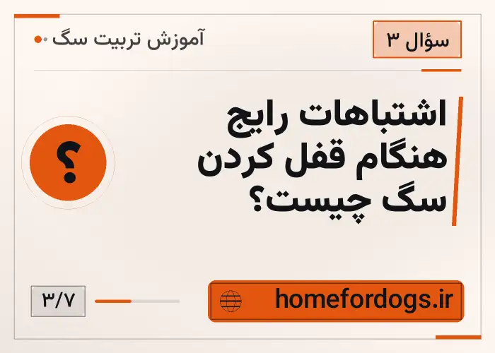 اشتباهات رایج هنگام قفل کردن سگ چیست؟