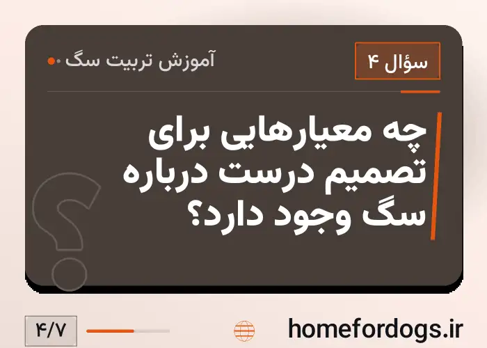 چه معیارهایی برای تصمیم درست درباره سگ وجود دارد؟