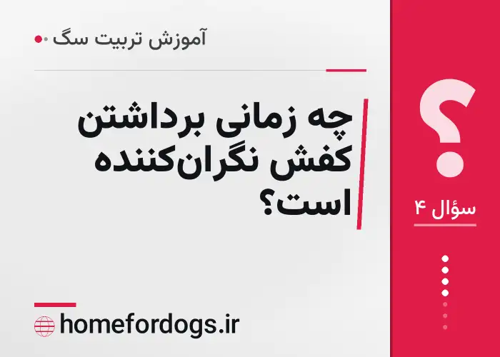 چه زمانی برداشتن کفش نگران‌کننده است؟
