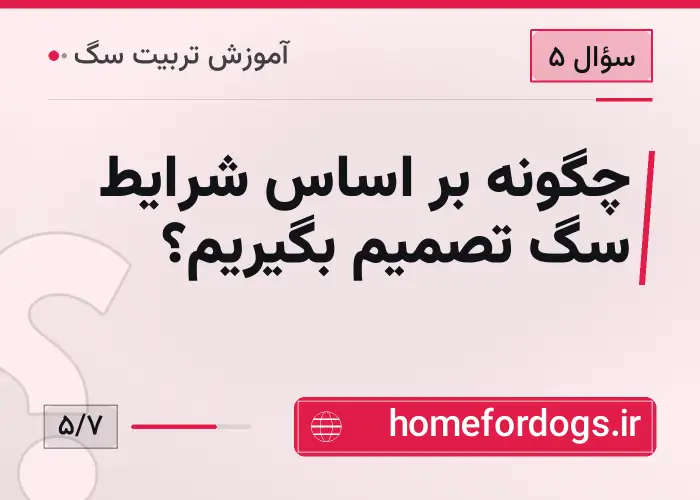 چگونه بر اساس شرایط سگ تصمیم بگیریم؟
