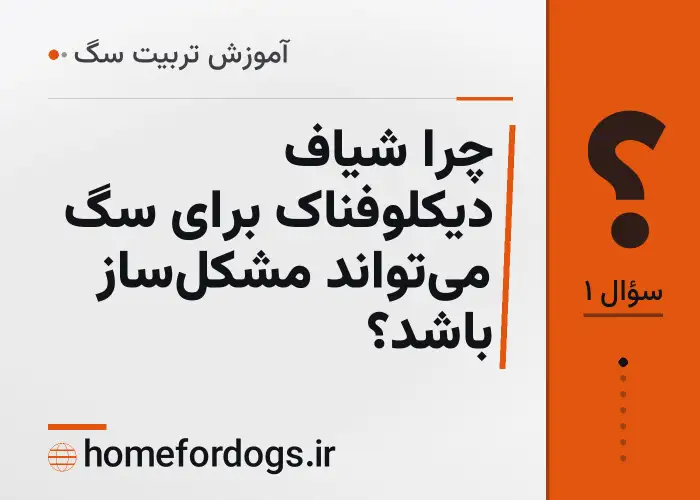چرا شیاف دیکلوفناک برای سگ می‌تواند مشکل‌ساز باشد؟