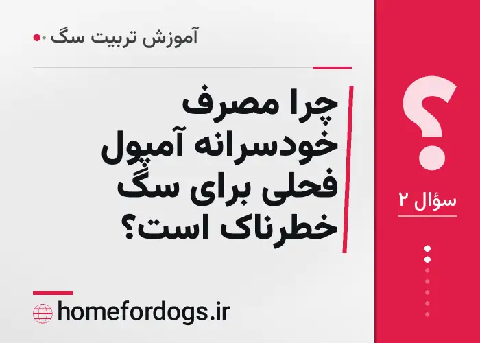 چرا مصرف خودسرانه آمپول فحلی برای سگ خطرناک است؟
