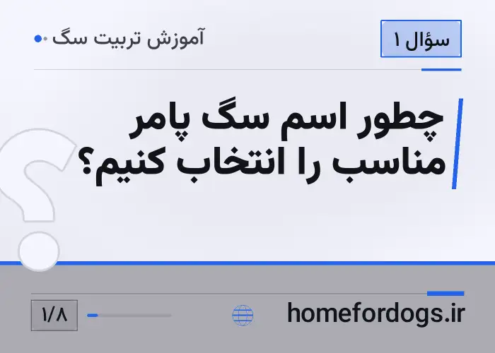 چطور اسم سگ پامر مناسب را انتخاب کنیم؟