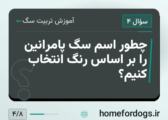 چطور اسم سگ پامرانین را بر اساس رنگ انتخاب کنیم؟