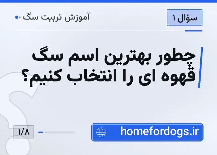 چطور بهترین اسم سگ قهوه ای را انتخاب کنیم؟