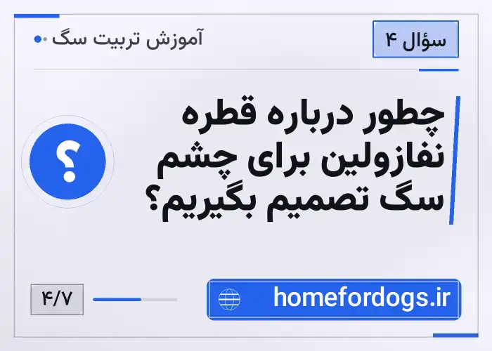 چطور درباره قطره نفازولین برای چشم سگ تصمیم بگیریم؟
