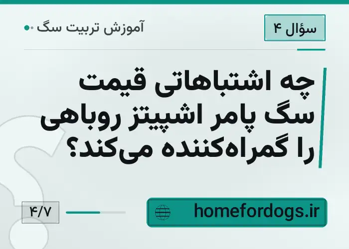 چه اشتباهاتی قیمت سگ پامر اشپیتز روباهی را گمراه‌کننده می‌کند؟
