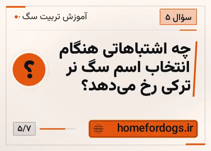 چه اشتباهاتی هنگام انتخاب اسم سگ نر ترکی رخ می‌دهد؟
