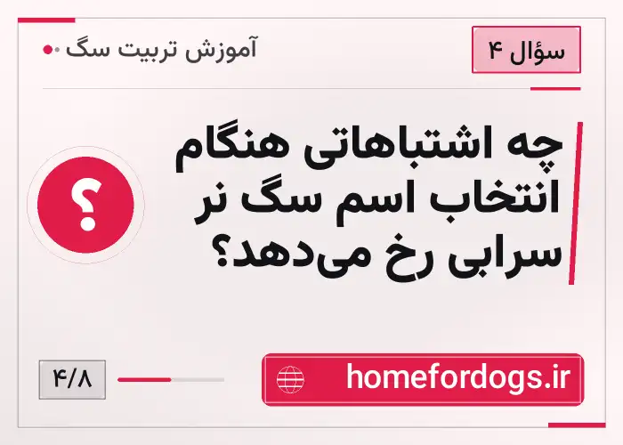 چه اشتباهاتی هنگام انتخاب اسم سگ نر سرابی رخ می‌دهد؟