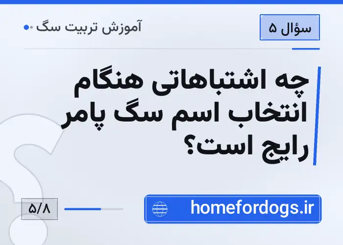 چه اشتباهاتی هنگام انتخاب اسم سگ پامر رایج است؟