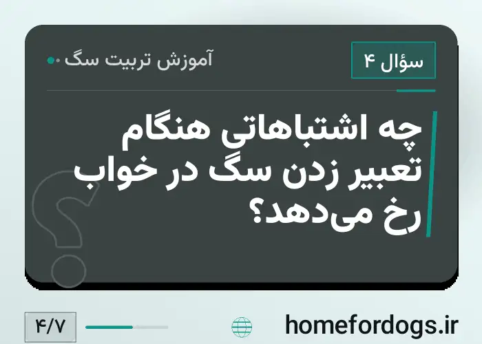 چه اشتباهاتی هنگام تعبیر زدن سگ در خواب رخ می‌دهد؟