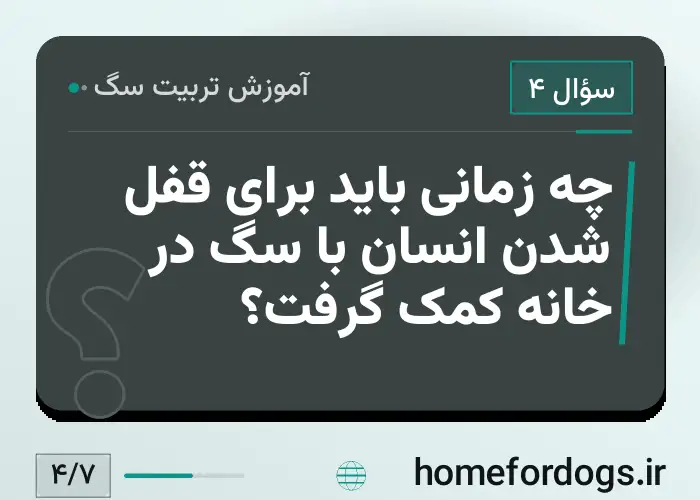 چه زمانی باید برای قفل شدن انسان با سگ در خانه کمک گرفت؟