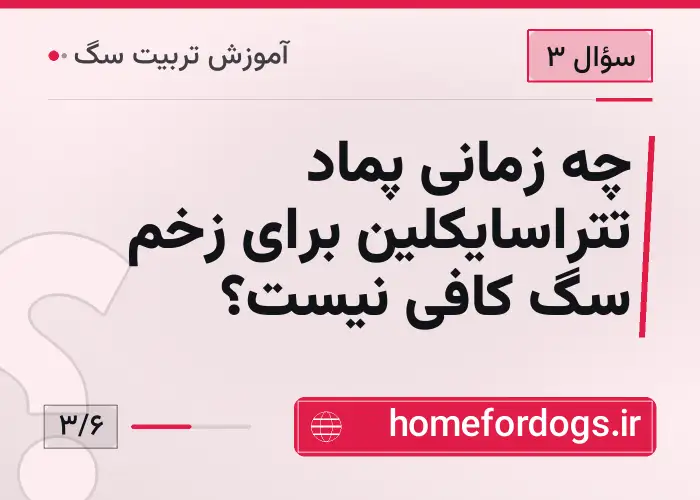 چه زمانی پماد تتراسایکلین برای زخم سگ کافی نیست؟