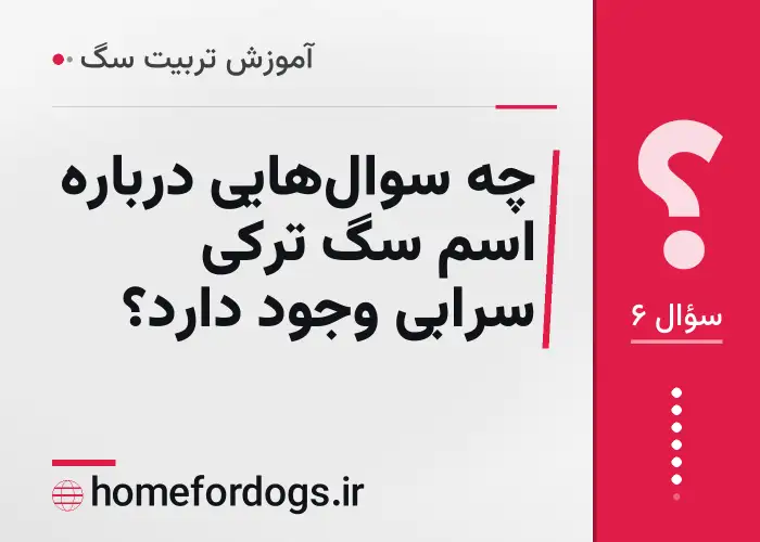 چه سوال‌هایی درباره اسم سگ ترکی سرابی وجود دارد؟