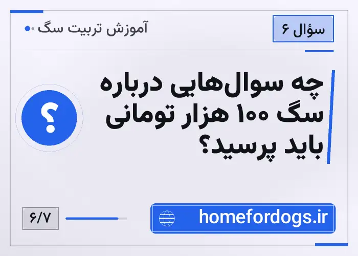 چه سوال‌هایی درباره سگ ۱۰۰ هزار تومانی باید پرسید؟
