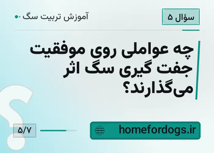 چه عواملی روی موفقیت جفت گیری سگ اثر می‌گذارند؟