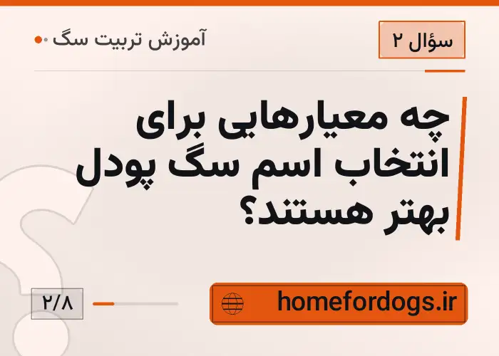 چه معیارهایی برای انتخاب اسم سگ پودل بهتر هستند؟