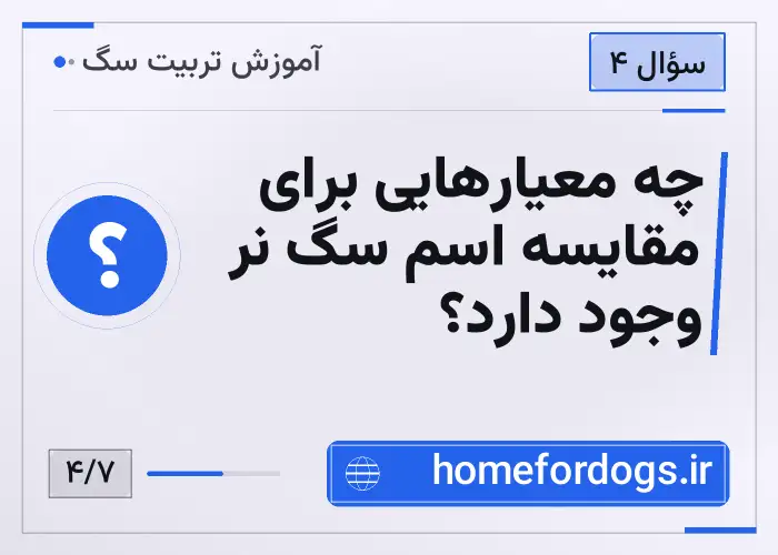 چه معیارهایی برای مقایسه اسم سگ نر وجود دارد؟