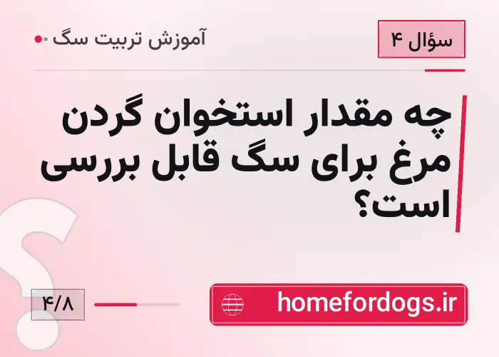 چه مقدار استخوان گردن مرغ برای سگ قابل بررسی است؟