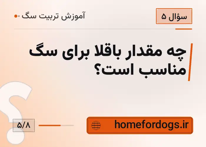 چه مقدار باقلا برای سگ مناسب است؟