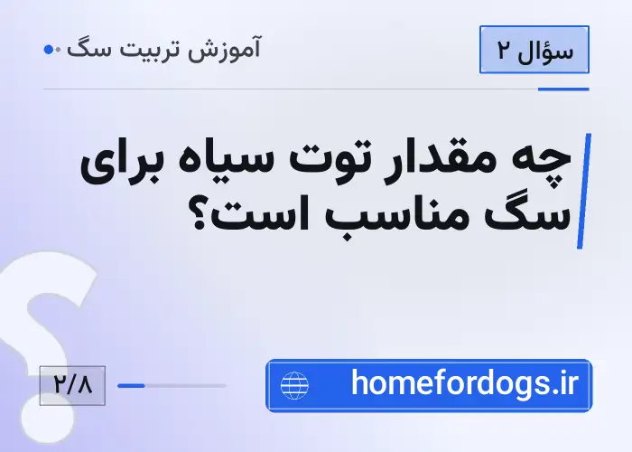 چه مقدار توت سیاه برای سگ مناسب است؟