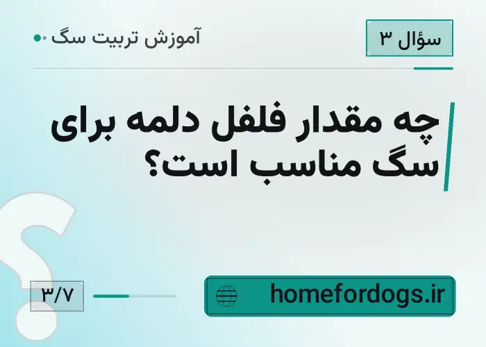 چه مقدار فلفل دلمه برای سگ مناسب است؟