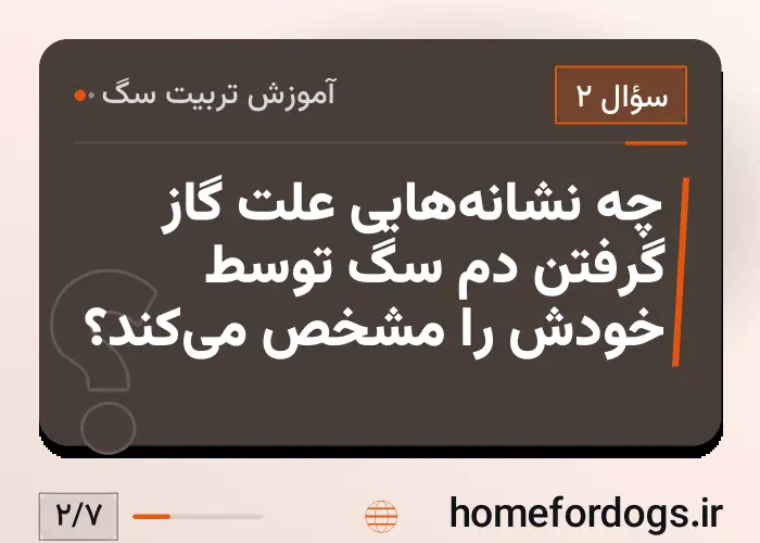 چه نشانه‌هایی علت گاز گرفتن دم سگ توسط خودش را مشخص می‌کند؟