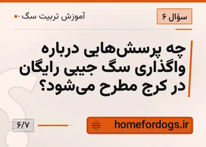 چه پرسش‌هایی درباره واگذاری سگ جیبی رایگان در کرج مطرح می‌شود؟