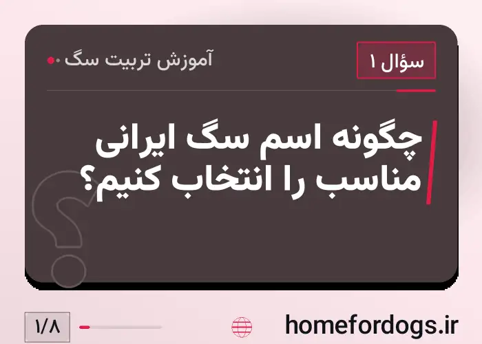 چگونه اسم سگ ایرانی مناسب را انتخاب کنیم؟