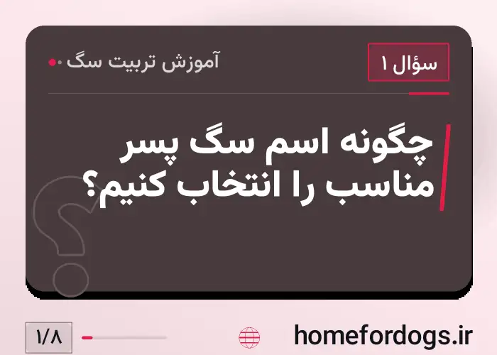 چگونه اسم سگ پسر مناسب را انتخاب کنیم؟