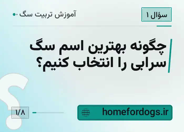 چگونه بهترین اسم سگ سرابی را انتخاب کنیم؟