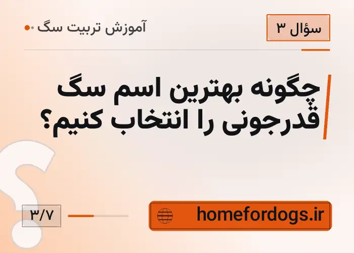 چگونه بهترین اسم سگ قدرجونی را انتخاب کنیم؟