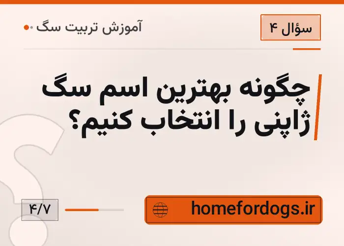 چگونه بهترین اسم سگ ژاپنی را انتخاب کنیم؟