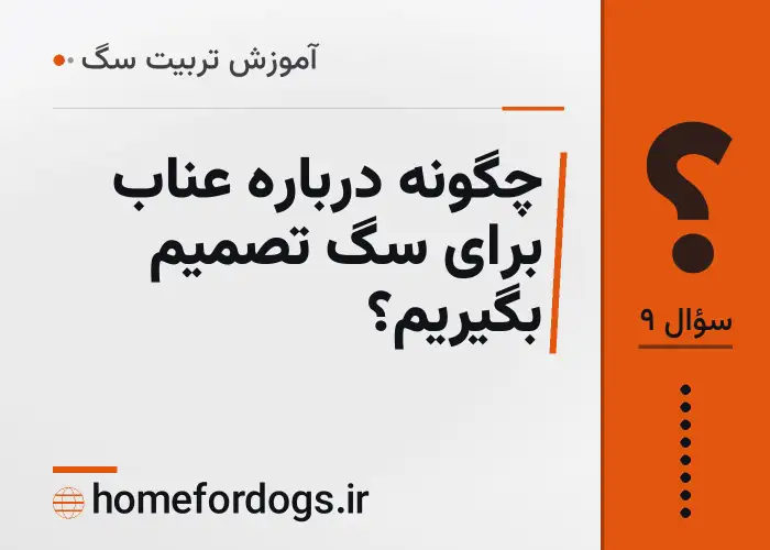 چگونه درباره عناب برای سگ تصمیم بگیریم؟
