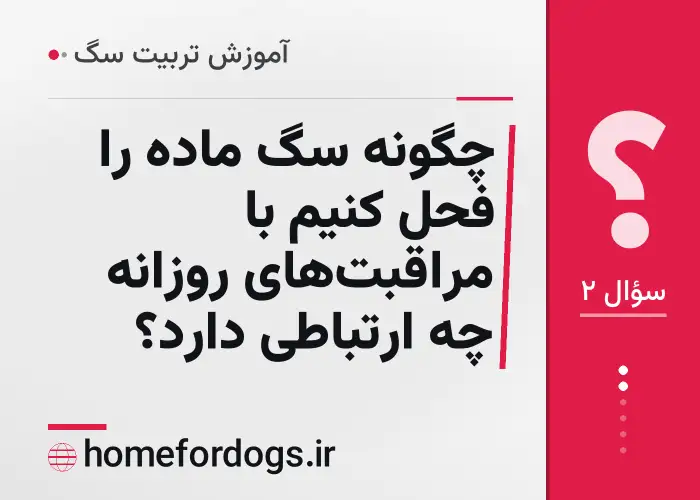 چگونه سگ ماده را فحل کنیم با مراقبت‌های روزانه چه ارتباطی دارد؟